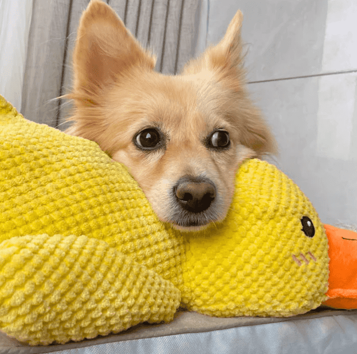 Calming Duck (medium size)
