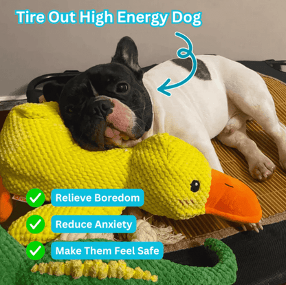 Durable Squeaky Duck Toy