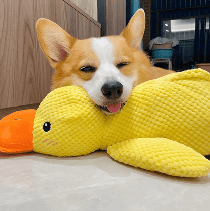 Durable Squeaky Duck Toy