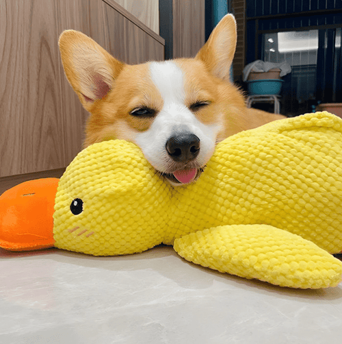 Durable Squeaky Duck Toy