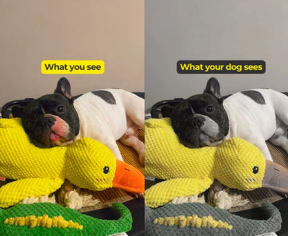 Durable Squeaky Duck Toy